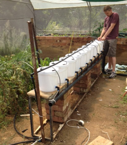 How to build a Dutch Bucket plant grow area for your Aquaponics System