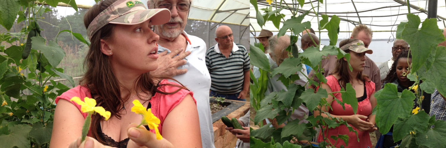 A MASTER LESSON IN GROWING CUCUMBERS