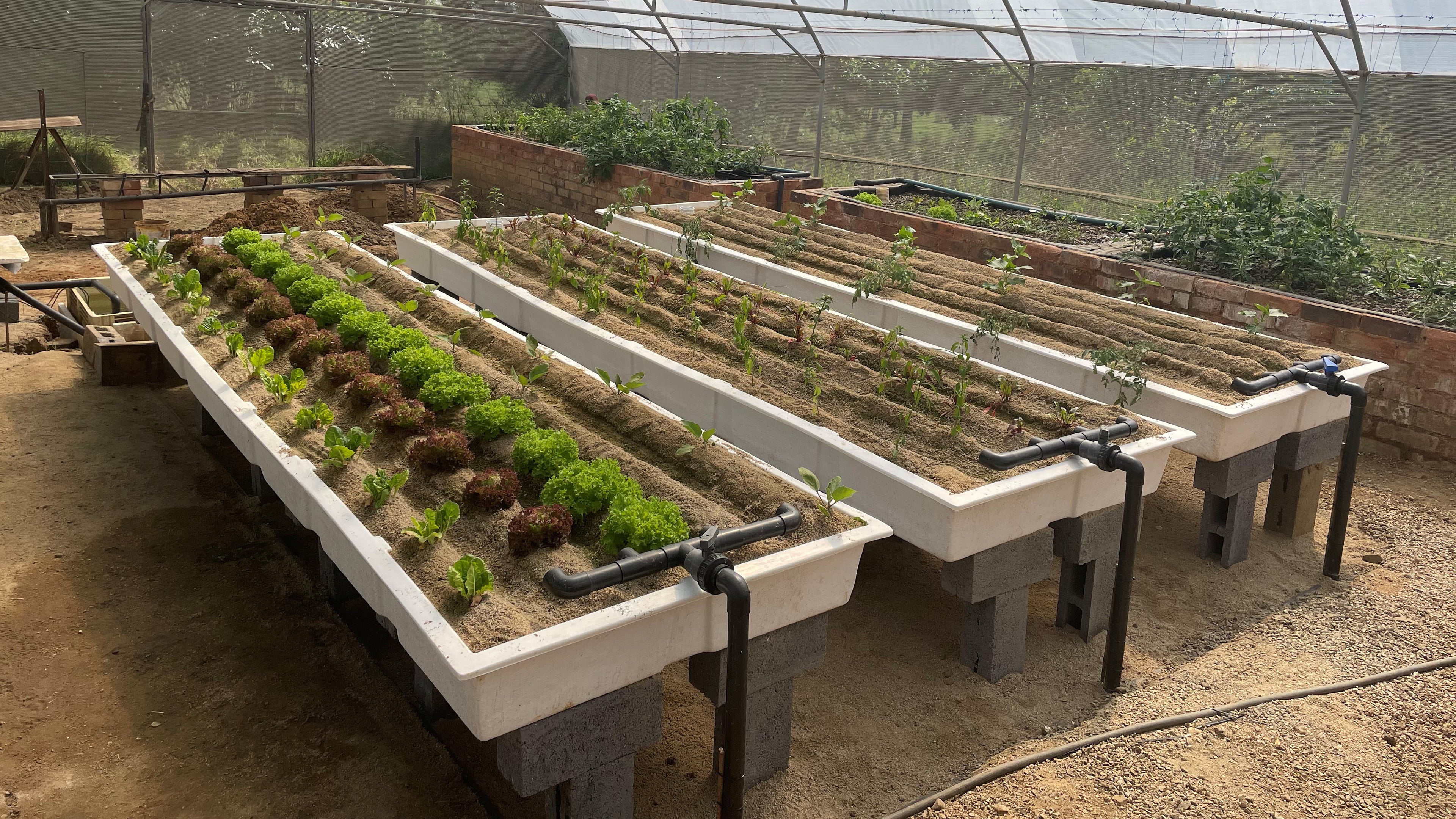 SANDPONICS IS AQUAPONICS ON STEROIDS - HOW TO BUILD YOUR OWN SANDPONICS OR SANDGARDEN SYSTEM