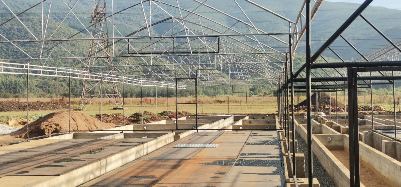 SAPPI's AQUAPONICS VOYAGE: FROM VISION TO FRUITION - A REMARKABLE SUSTAINABLE ACHIEVEMENT