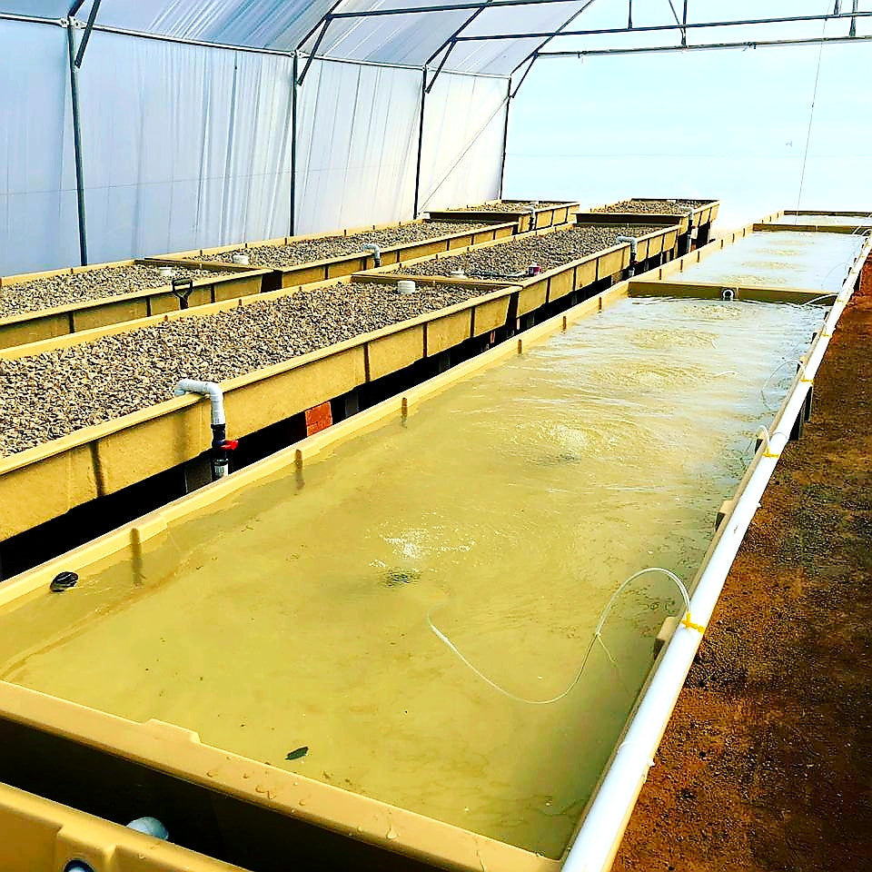 Fiberglass Commercial Plant GrowBed - 2.5m x 1.2m x 0.25m