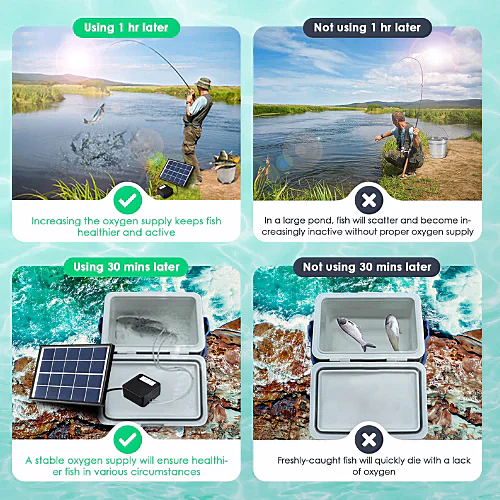 Solar Powered Air Pump - 3l/min
