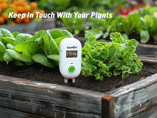 RAINPOINT SMART WIRELESS DIGITAL SOIL MOISTURE SENSOR