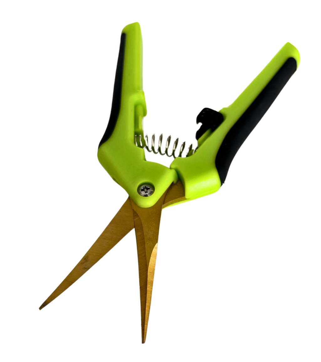 Pruning Curved Blade Scissors (with safety lock) 