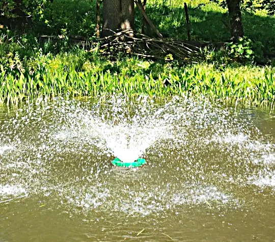 Floating Fountain with Built-in Pump - Aeration for Small Ponds