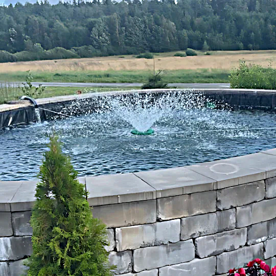 Floating Fountain with Built-in Pump - Aeration for Small Ponds