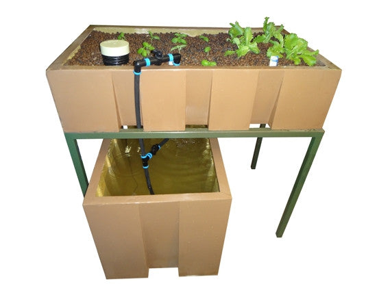AquaEco Aquaponics System. 