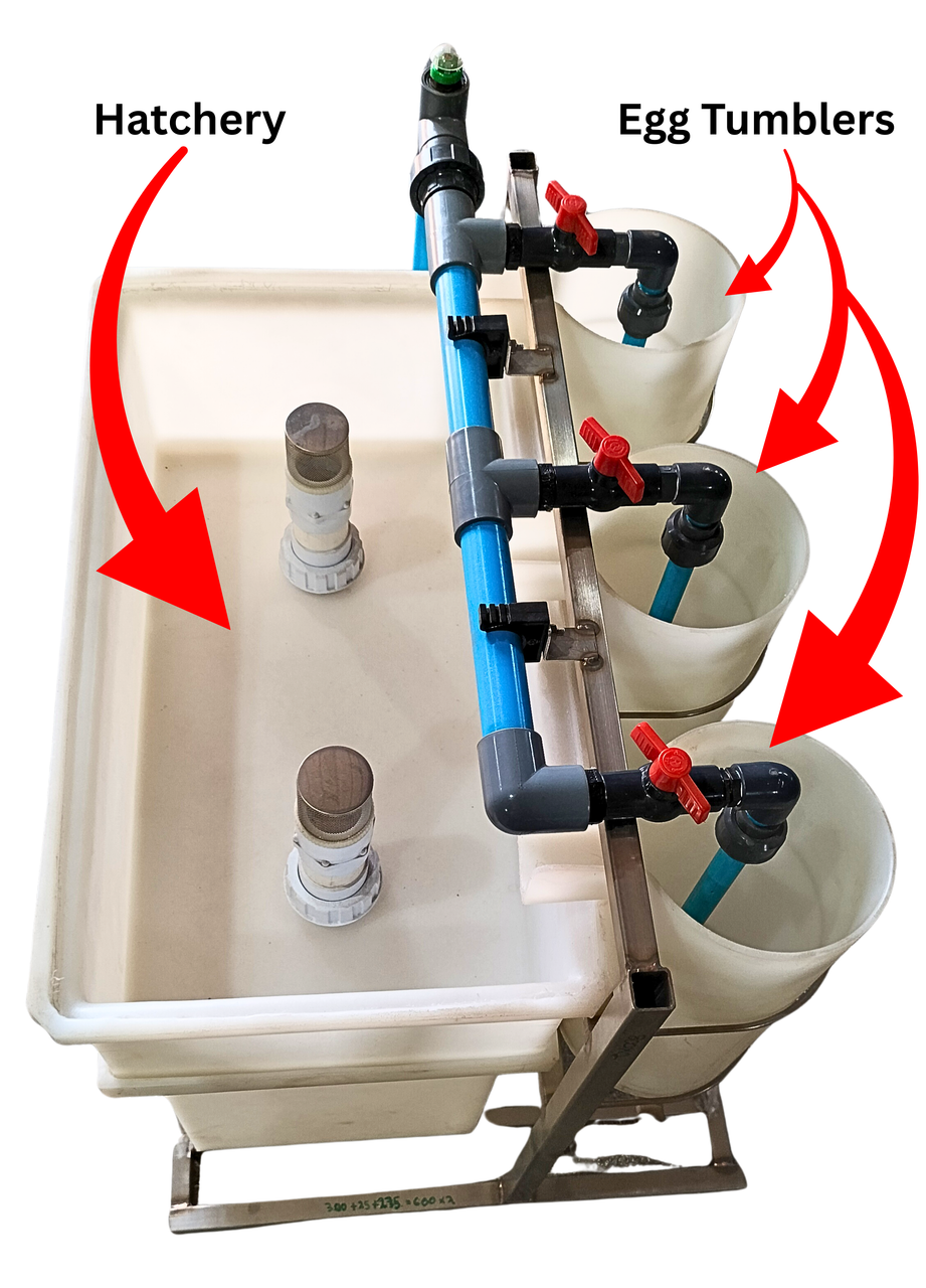 Professional Egg Tumbler & Hatchery for Aquaculture
