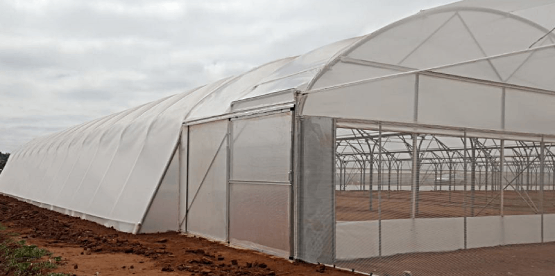 Greenhouse Plastic  7.5m x10m