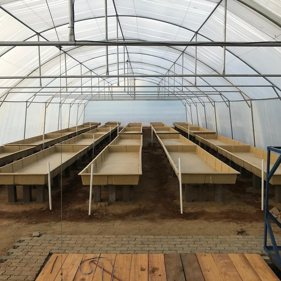 Fiberglass Commercial Plant GrowBed - 5m x 1.2mx0.25m