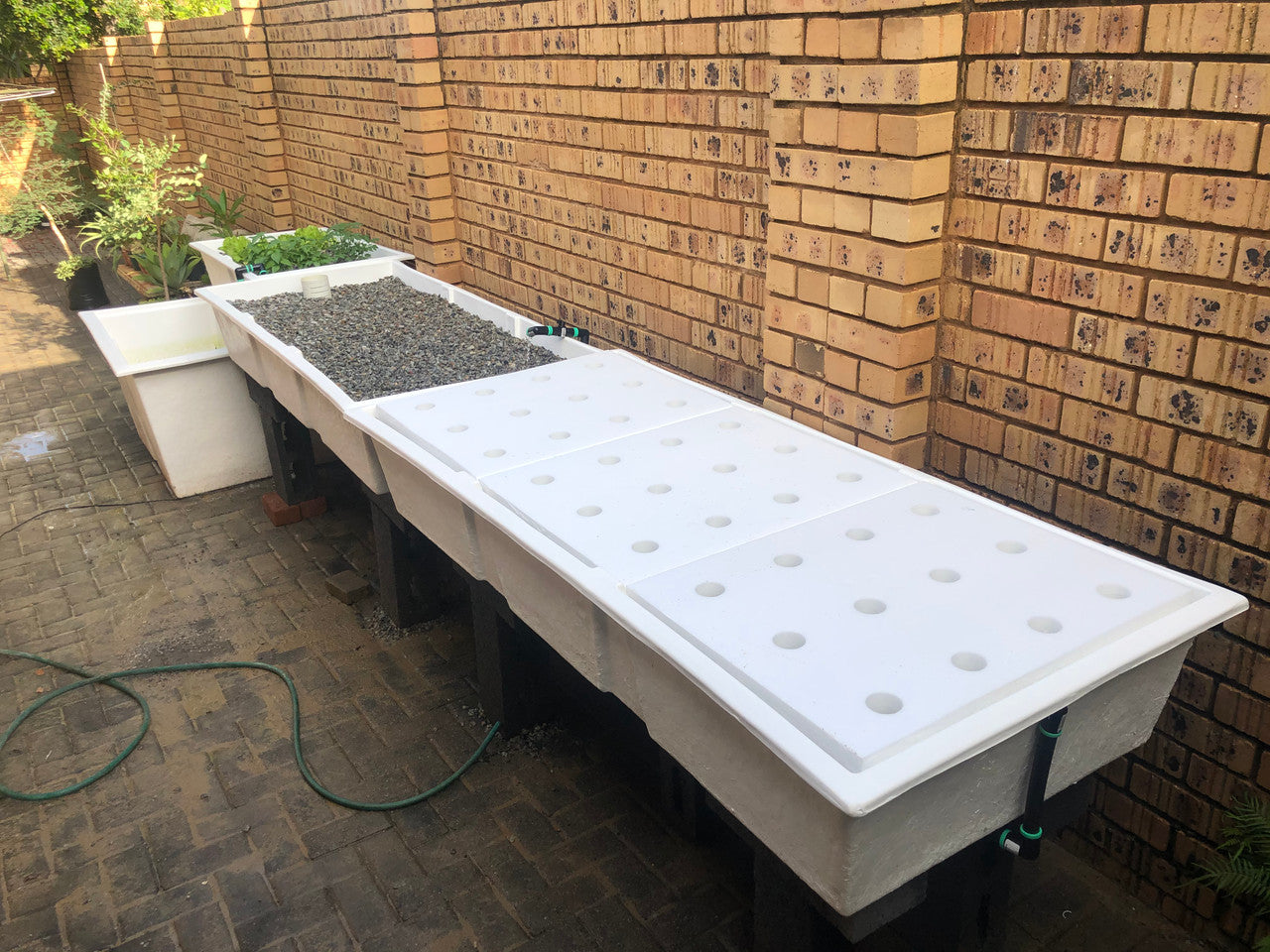 Myaqua Backyard Aquaponics System - 936l Tank and 216L Growbed