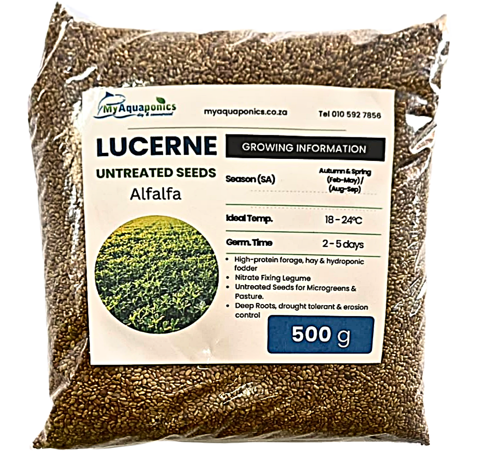 Lucerne Seeds 500 grams pack