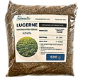 Lucerne Seeds 500 grams pack