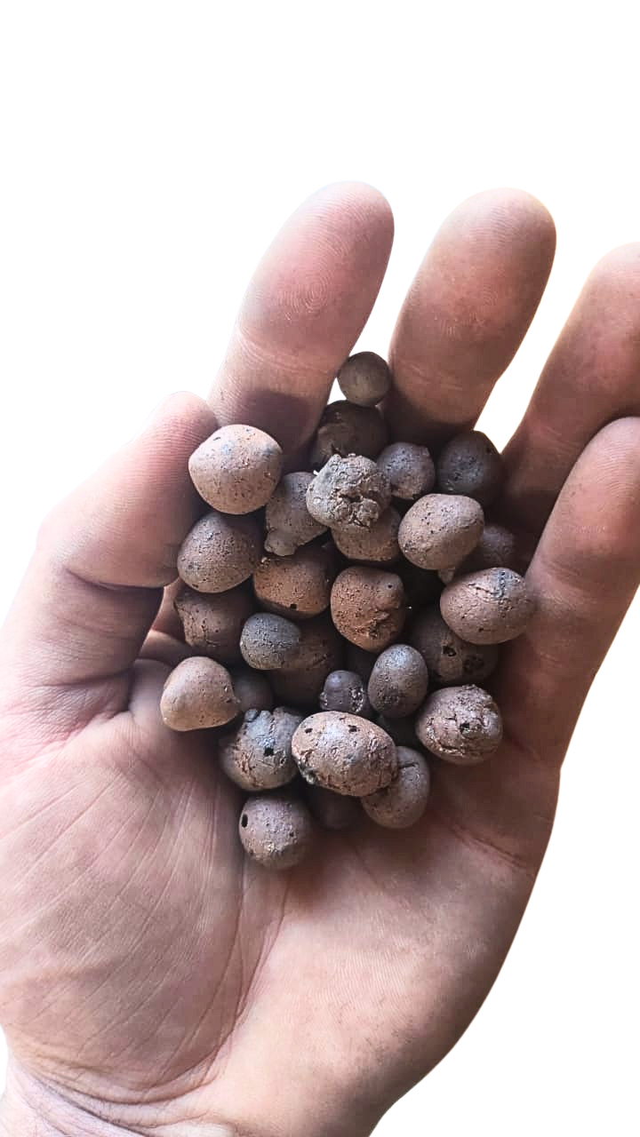 LECA light weigh expandable clay balls aquaponics
