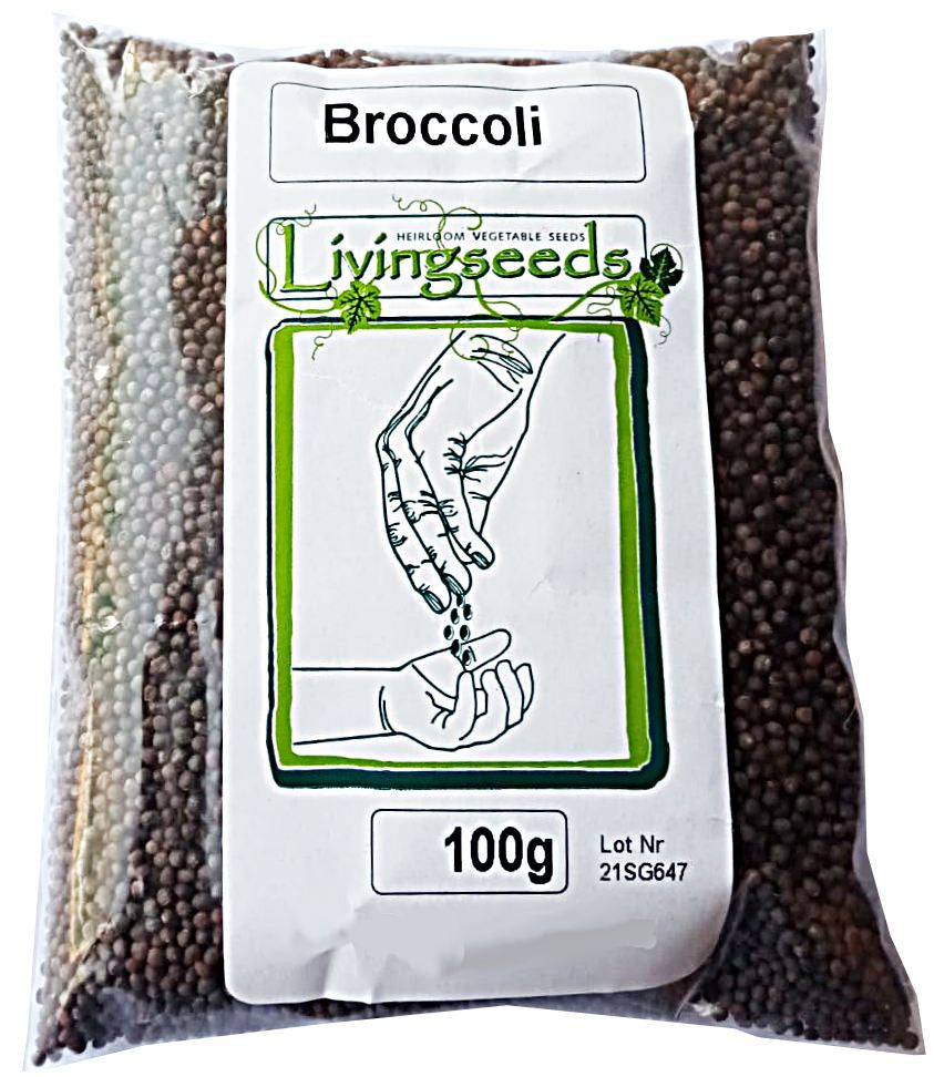 Broccoli Microgreens Seeds  - 100 Grams