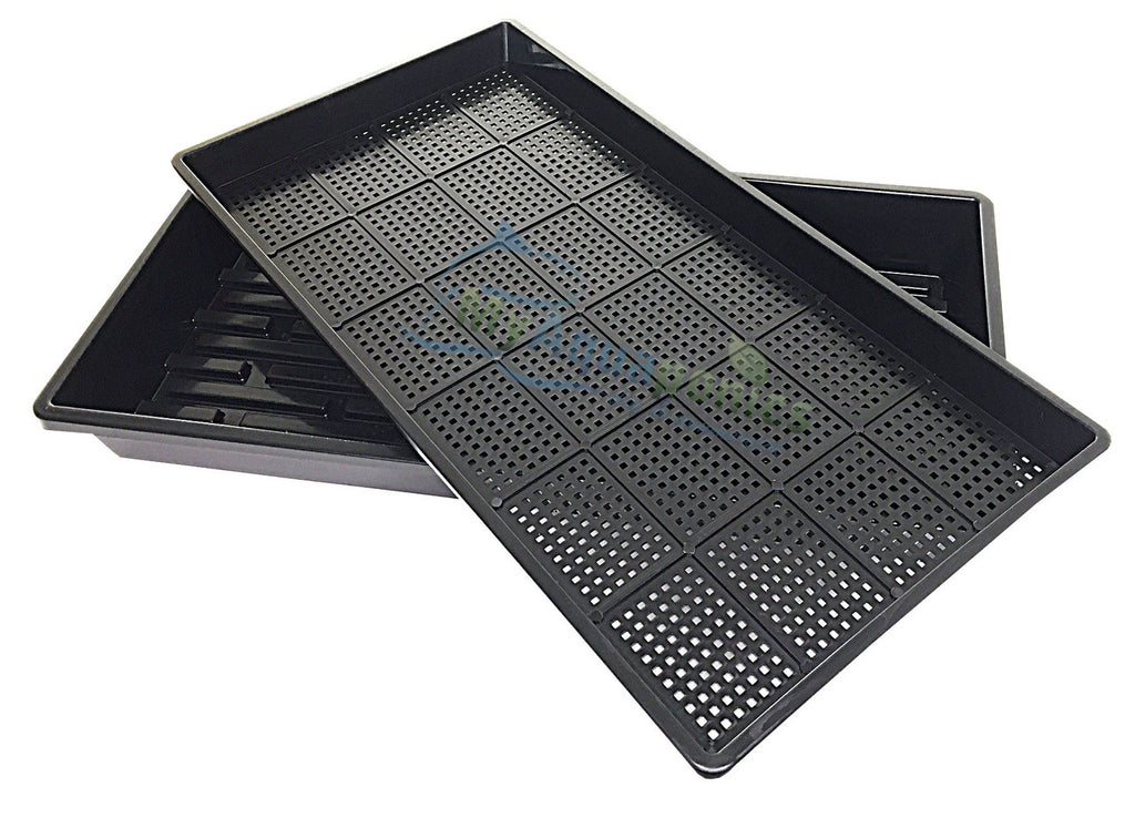 Sprouting mesh tray on 5cm deep microgreens tray without holes