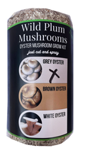 Grey Oyster Mushroom grow kit