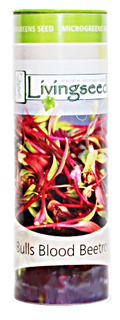 Bulls Blood Beetroot Microgreens Seeds  - 70g Tube