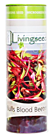 Bulls Blood Beetroot Microgreens Seeds  - 70g Tube