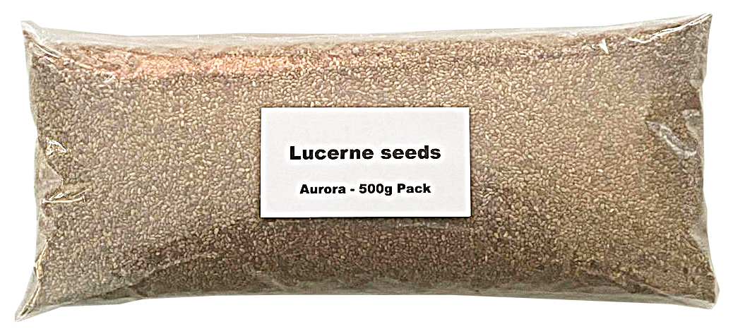 Lucerne seds