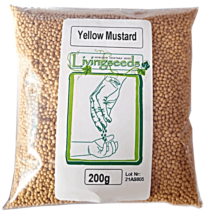 Yellow Mustard Microgreens seeds