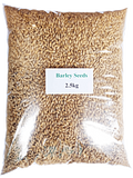 Barley Seed - Fodder or Microgreens - 2.5Kg