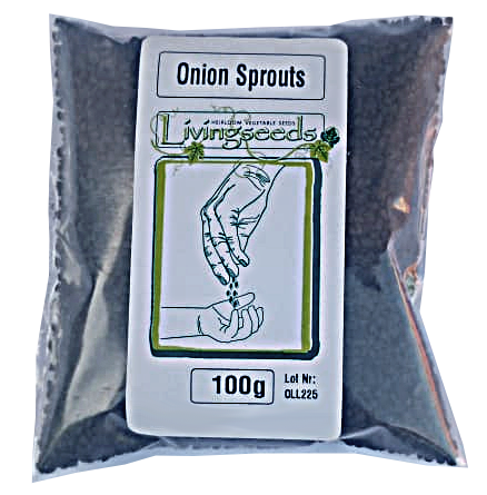 Onion Sprout and microgreens seeds