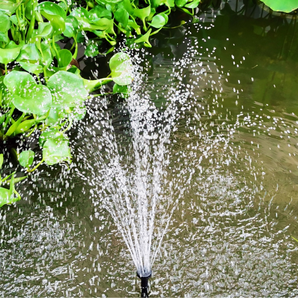 Solar pond pump kit installed in a garden pond