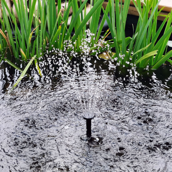 Small solar fountain running in a garden water feature