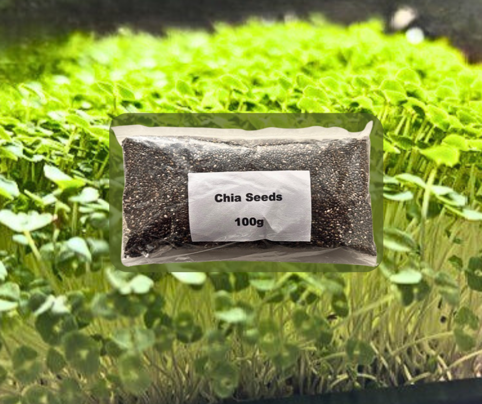 Chia Microgreens Seeds  - 100g Pack