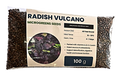 Vulcano Radish microgreens seeds