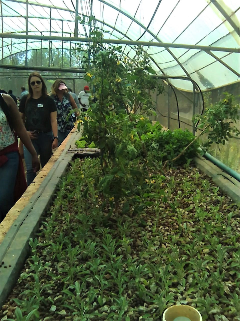 Ticket Aquaponics & Sandponics Training Course - Saturday, 24 October 2026, Johannesburg