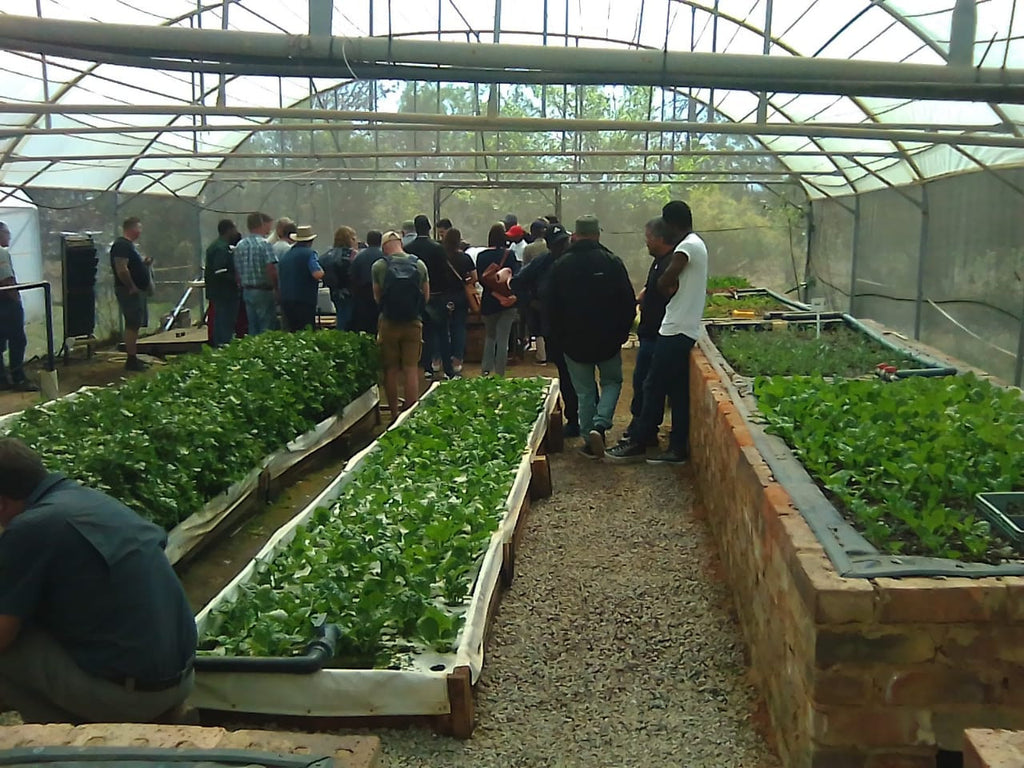 Ticket Aquaponics & Sandponics Training Course - Saturday, 24 October 2026, Johannesburg