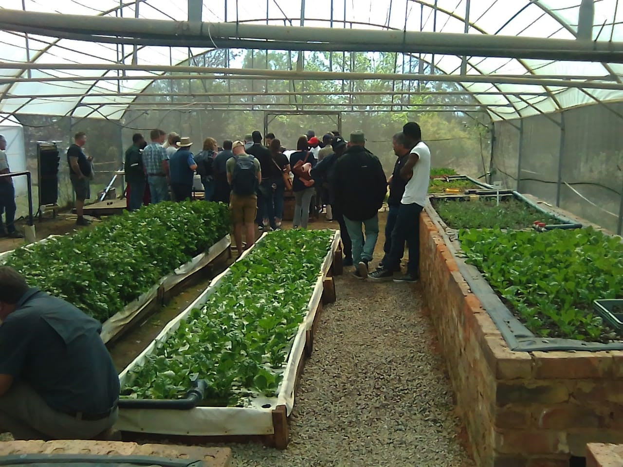 Ticket Aquaponics & Sandponics Training Course - Saturday, 24 October 2026, Johannesburg