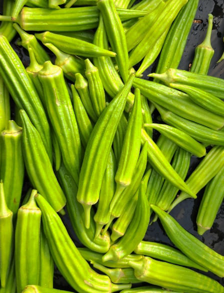 Okra Fruit
