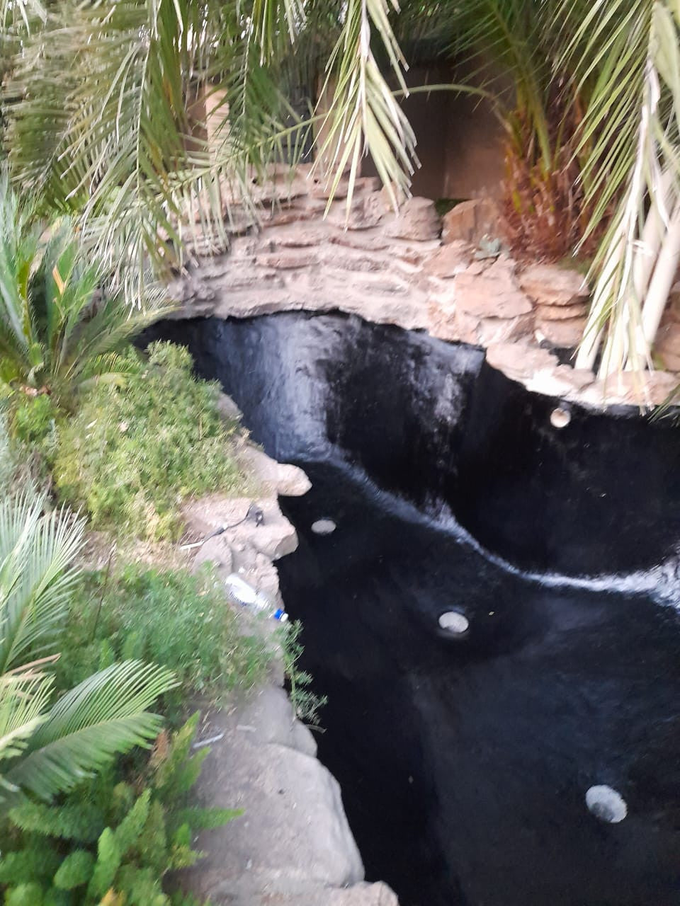 ecoproof fish pond sealer on koi pond2