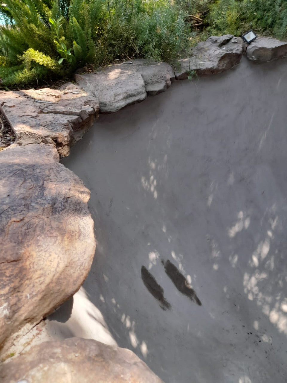 EcoCrete Fish Pond Concrete Primer applied to koi pond