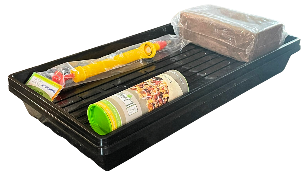 Microgreens starter kit - myaquaponics