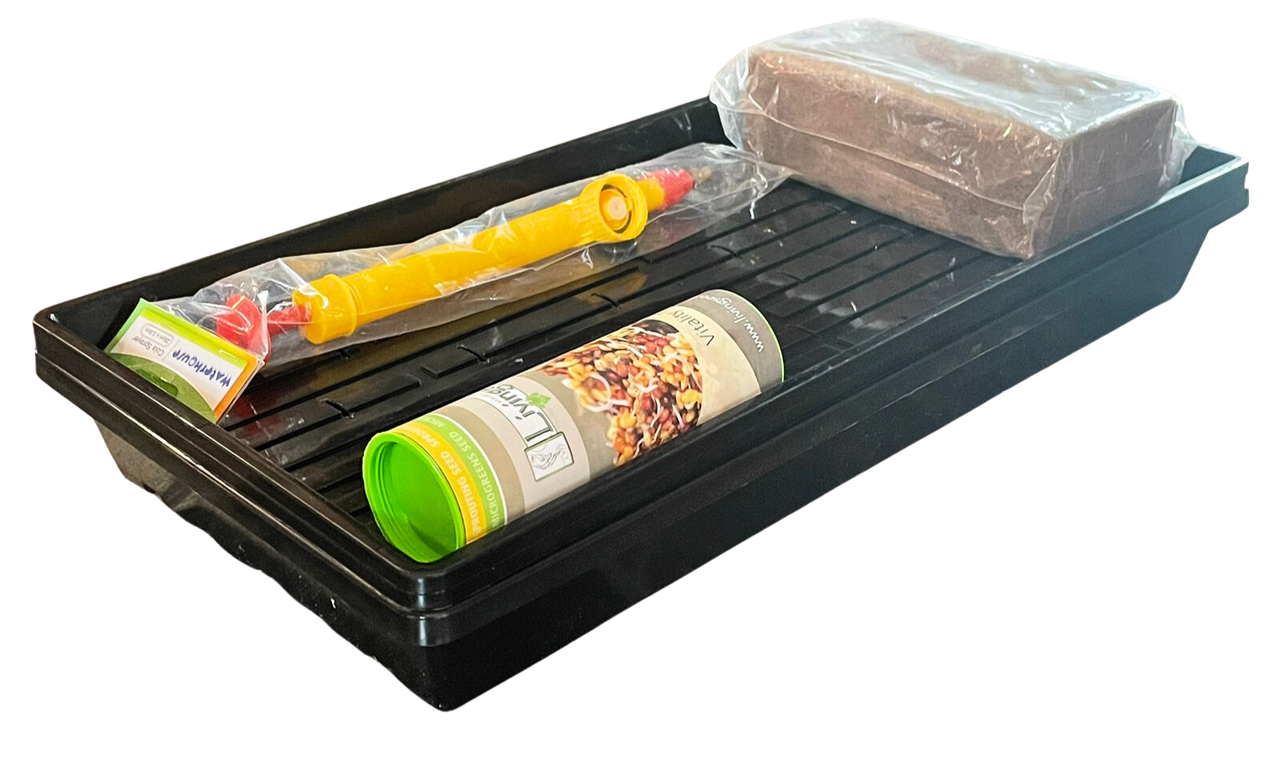 Microgreens starter kit - myaquaponics