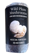 Lion Mane Mushroom Grow Kit