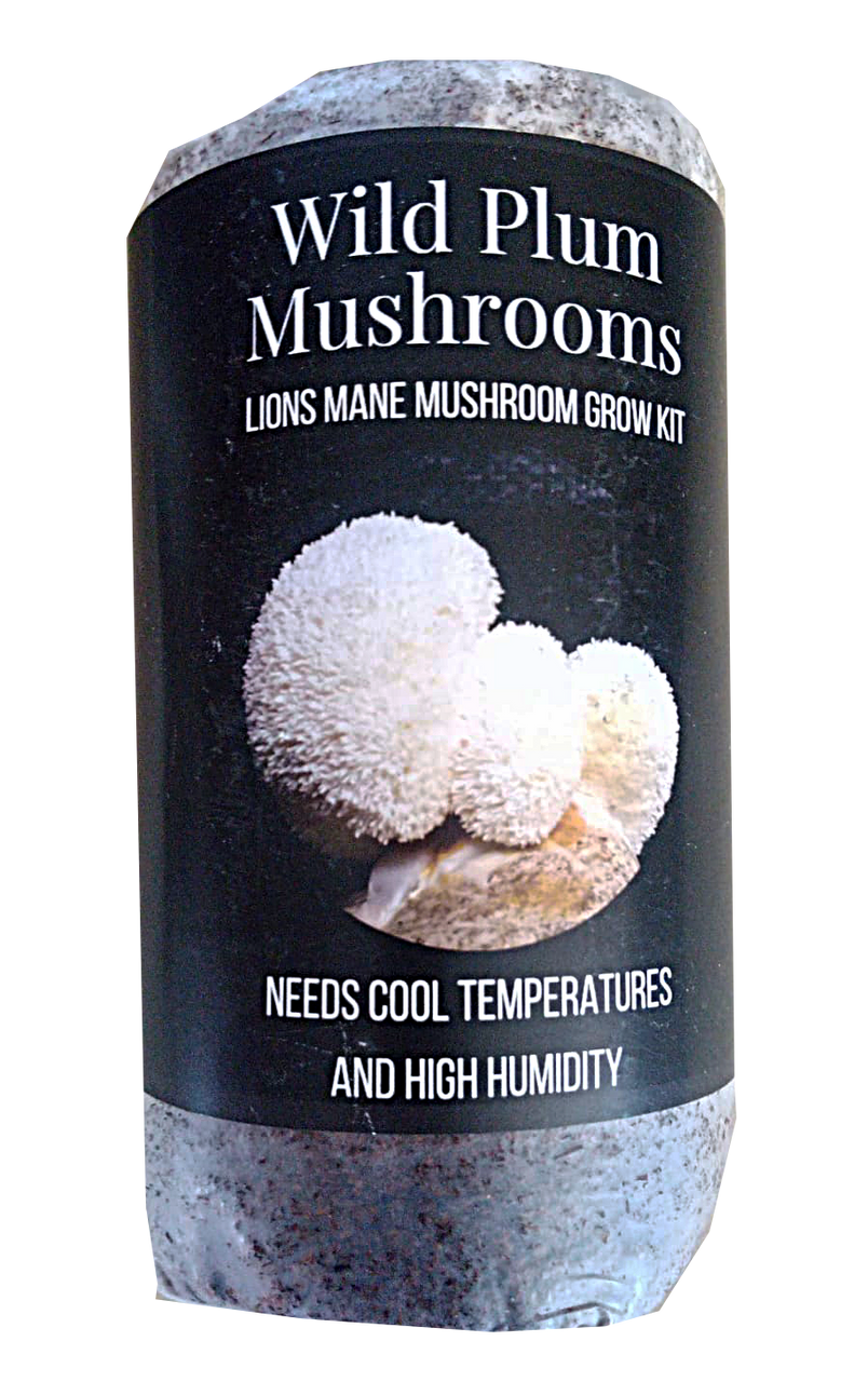 Lion Mane Mushroom Grow Kit