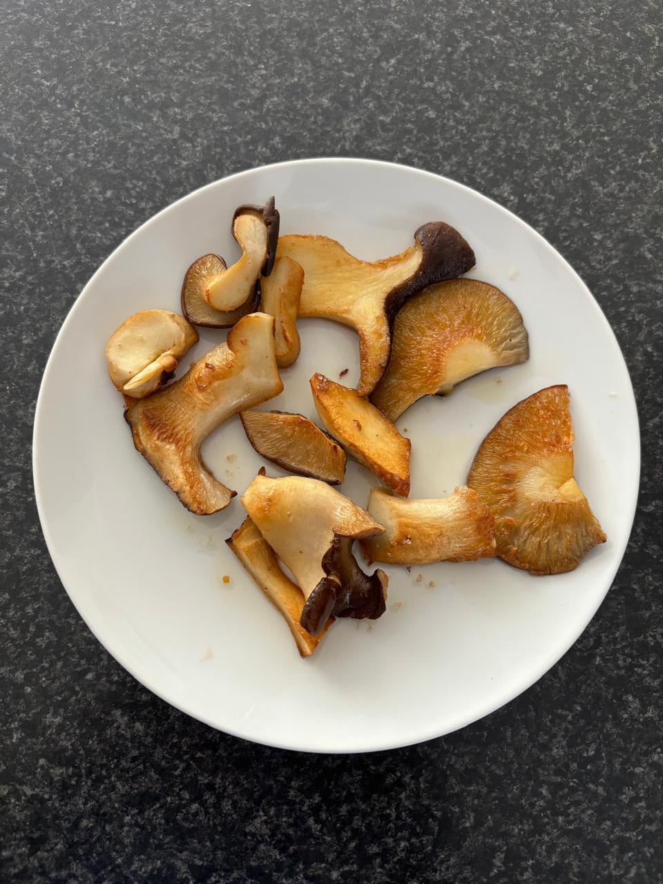 Mushroom Grow Kit - King Oyster - Deluxe