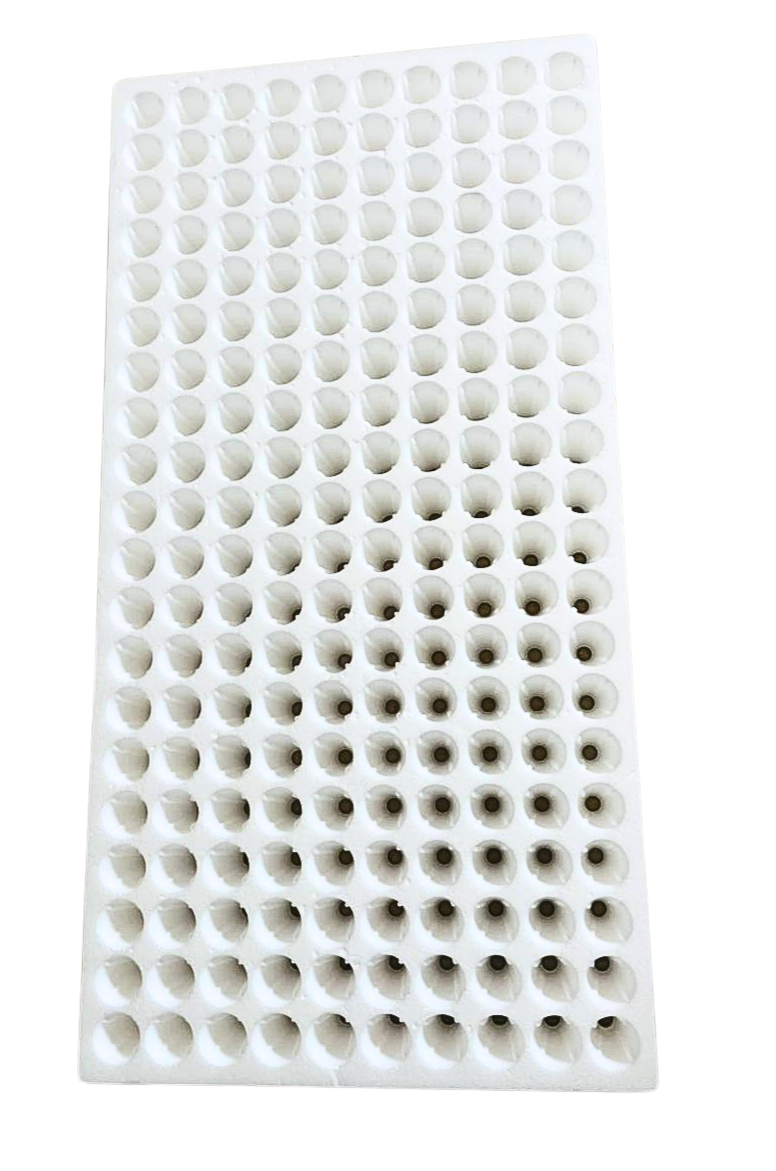 French Seedling Tray - 200 Holes  - 25mm