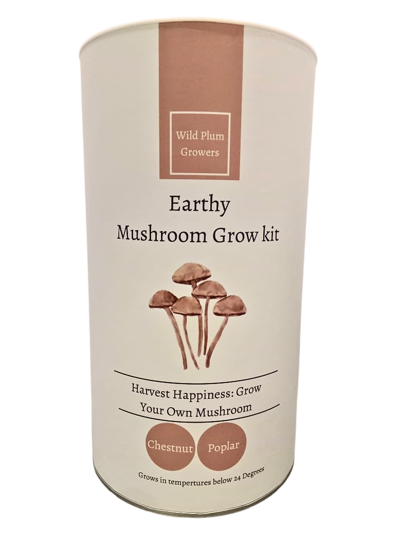 Mushroom Grow Kit - Chestnut - Deluxe