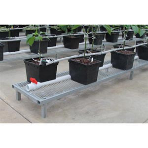 11l Dutch Bato Bucket