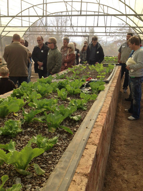 Ticket Aquaponics & Sandponics Training Course - Saturday, 24 October 2026, Johannesburg