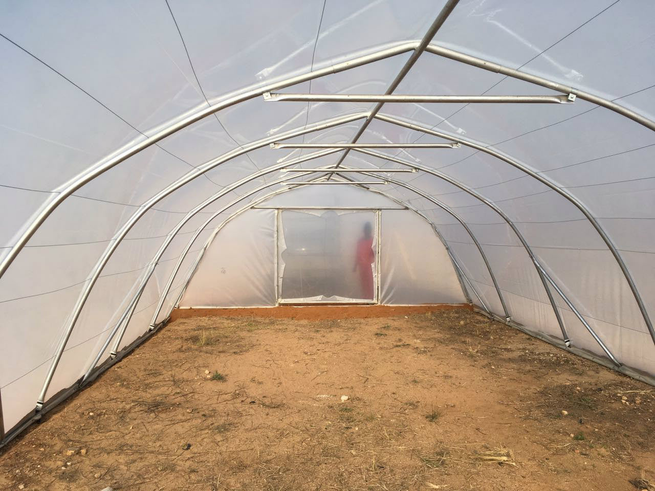 Greenhouse Plastic 11.5m x 7m