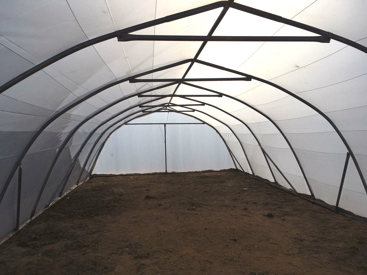 Greenhouse Plastic 11.5m x 7m