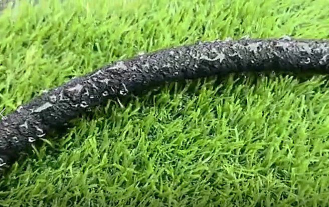 Porous Soaker hose drip irrigating lawn 