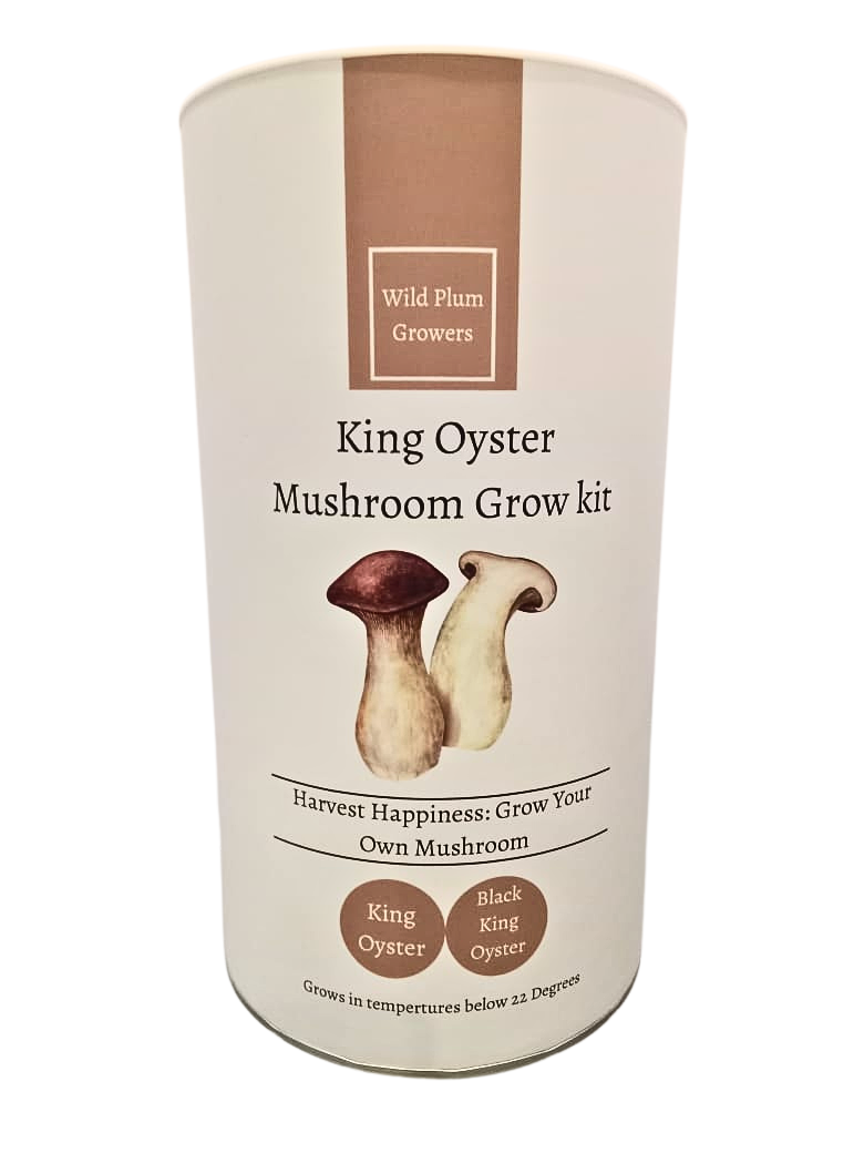 king oyster mushroom gift box 